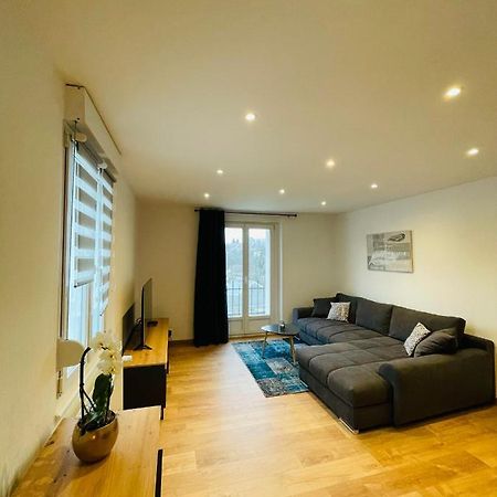 Appartement Les Tilleuls "3 Etoiles" นีเดอร์บรอนน์-เลส์-แบ็งส์ ภายนอก รูปภาพ